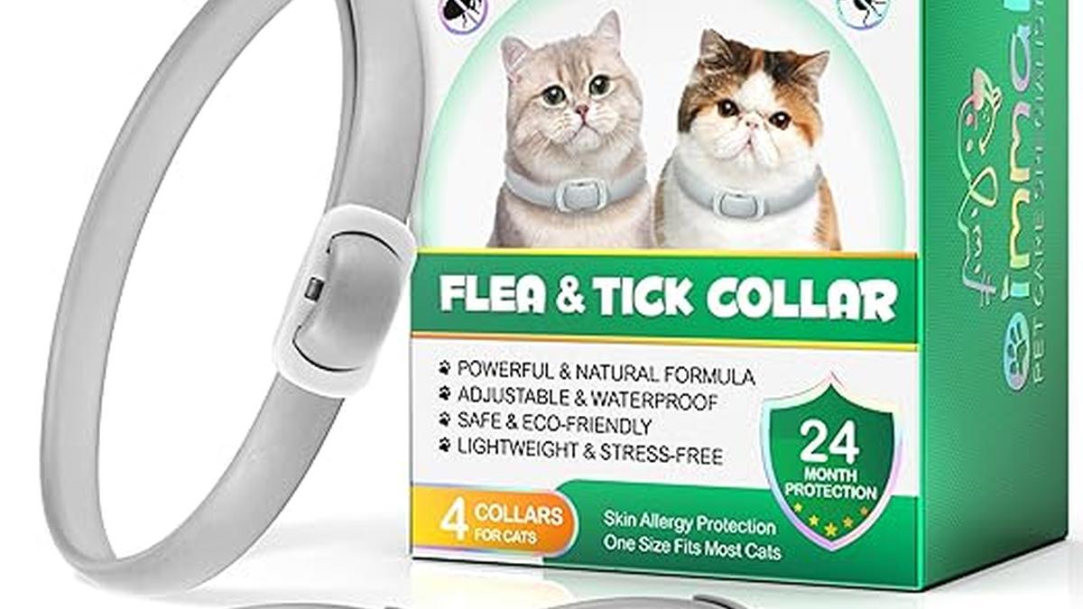 Collare Antipulci e Zecche Impermeabile per Gatti 4 Pezzi Protezione 24 Mesi