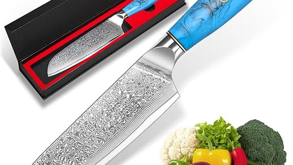 Coltello Santoku Damasco 17 5 cm Affilato in Acciaio VG10 Manico Ergonomico Resina Naturale Confezione Regalo