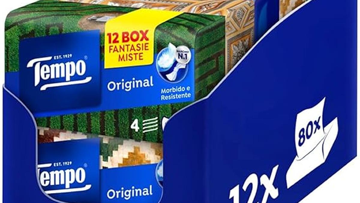 Fazzoletti Tempo Box 4 Veli 12 Confezioni 960 Fazzoletti Assortiti