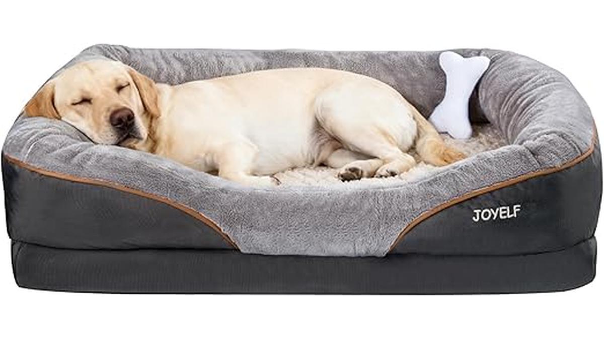 Letto Ortopedico XXL per Cani in Memory Foam con Fodera Lavabile e Giocattolo Scricchiolante