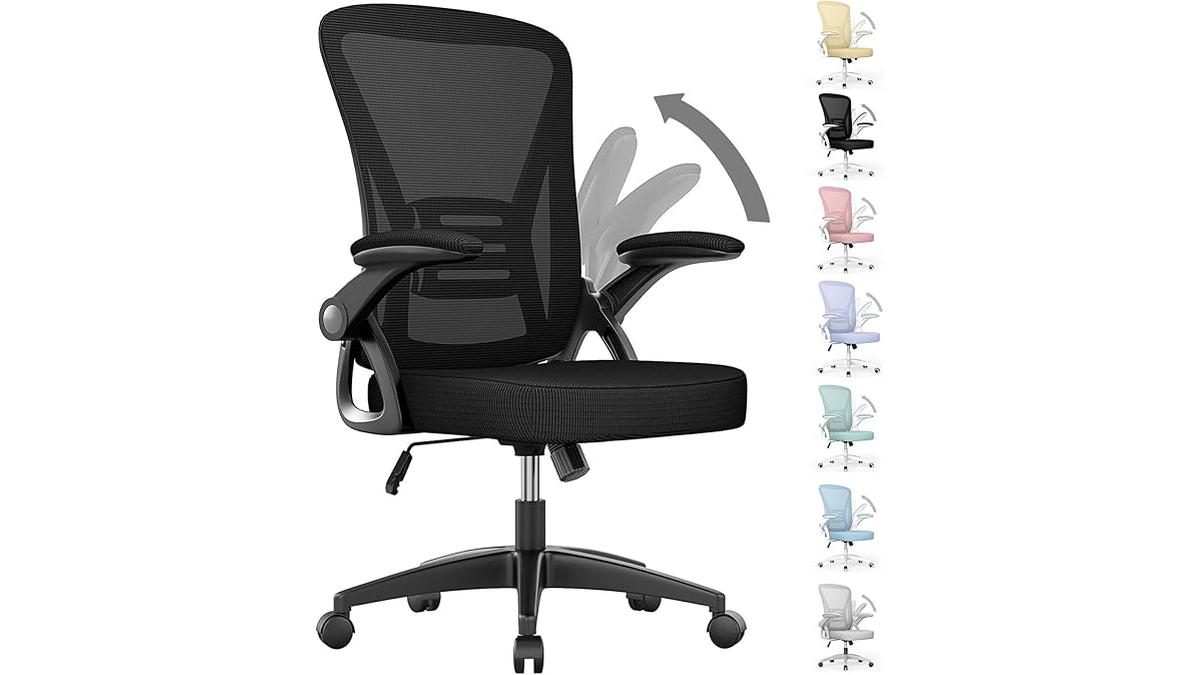 Sedia Ufficio Ergonomica Rattantree con Supporto Lombare e Braccioli Regolabili Nero