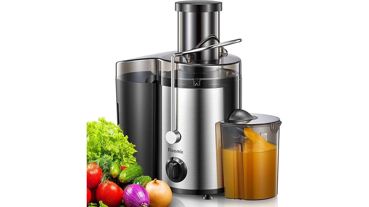 Centrifuga Elettrica Frutta e Verdura Reemix 65mm Acciaio Inox 500W Facile da Pulire 2 Velocità con Accessori