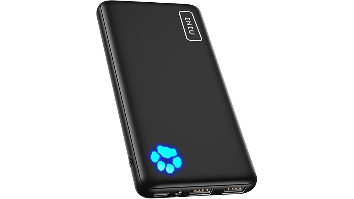 INIU Power Bank 10000mAh Ultra Sottile Ricarica Rapida per iPhone Samsung Huawei iPad Pro
