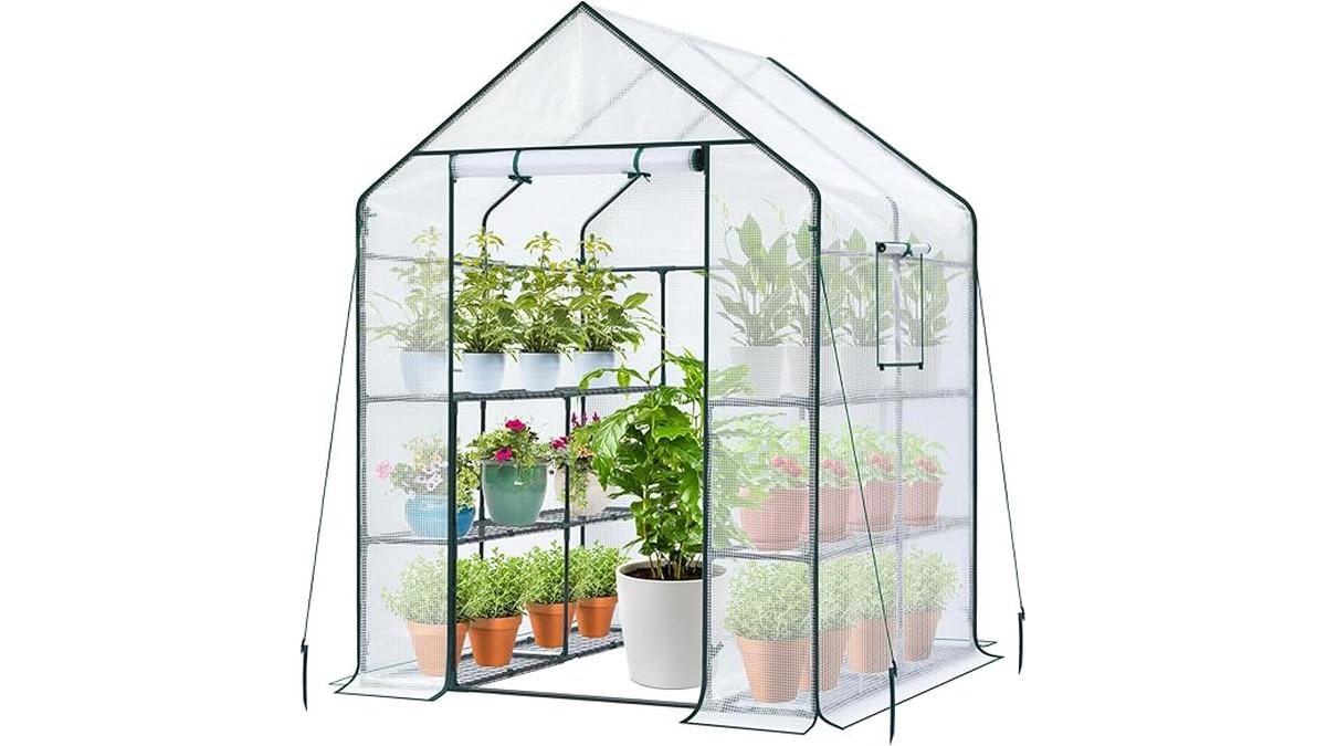 Serra da Giardino Ohuhu 145x145x195 cm con Porta Avvolgibile e Finestra Mini Serra Orto Vivaio Bianco 12 Ripiani per Piante